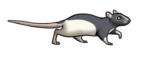 Animación de ratón corriendo hacia la salida